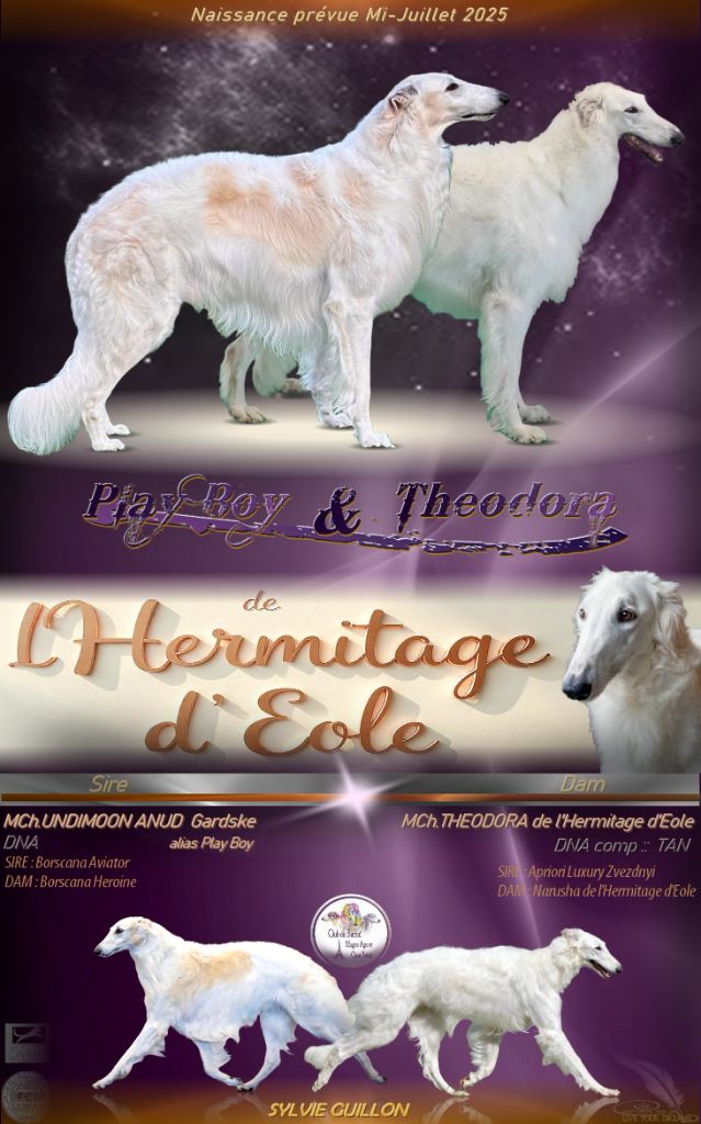 .LES BEBES SONT NES LE 10 JUILLET 2025