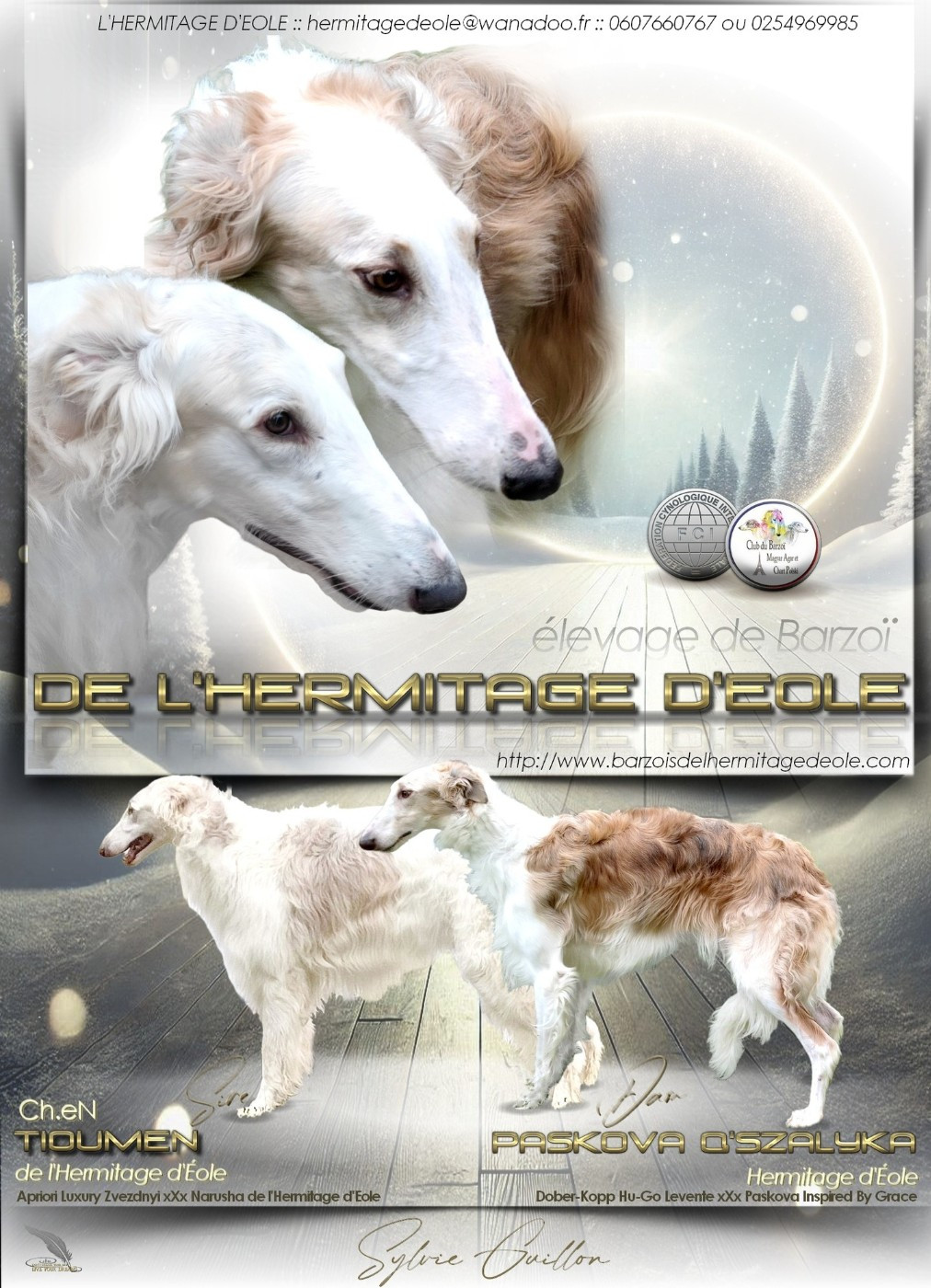 LES BARZOIS DE L'HERMITAGE D'EOLE